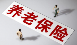 国产精品一级毛片,揭秘一级毛片的魅力与争议